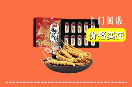 安顺市紫云回收冬虫夏草